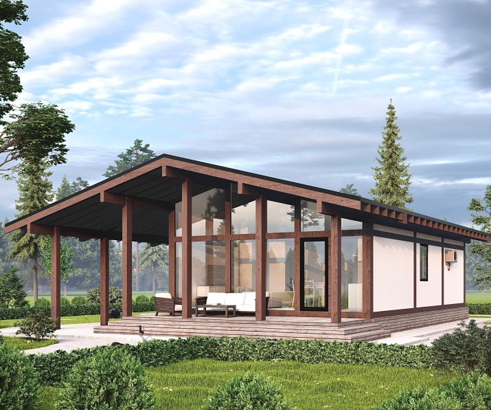 ФАХВЕРК (Ф-105) ДФ.86-113