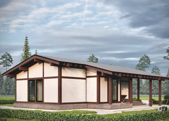 ФАХВЕРК (Ф-105) ДФ.86-113