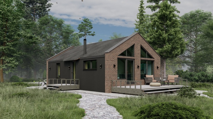 Каркасный дом из клеенного бруса по технологии Фахверк 60 м2 один этаж